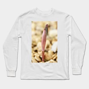 Polygonatum cirrhifolium Long Sleeve T-Shirt